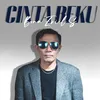 About Cinta Beku Song