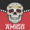 About AMIGO Song