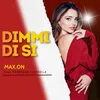 About Dimmi di si Song