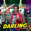 About Darling Song