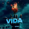 About VIDA Song