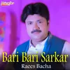 Bari Bari Sarkar