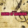 SOUND OF BACHURIK