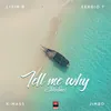 About Tell Me Why Song