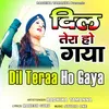 About Dil Teraa Ho Gaya Song
