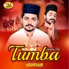 About Tumba Jindri Da Song