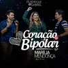 About Coração Bipolar Song