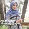 About PULANG RAYO KAMPUANG LANGANG Song