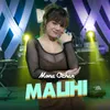 About Malihi Song