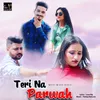 About Teri Na Parwah Song