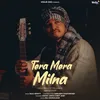 About Tera Mera Milna Song
