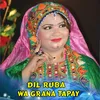 About Wa Grana Tapay Song