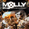 Molly