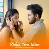 About Rishta Tera Mera Song