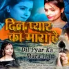 About Dil Pyar Ka Mara Hai Song