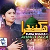 About Hara gumbad Song
