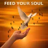 Alimenta tu alma