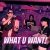 About WHAT U WANT! Song