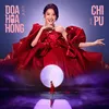 About Đoá Hoa Hồng (红玫瑰) Song