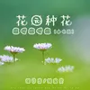 花园种花(挖呀挖呀挖)