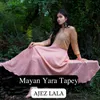 About Mayan Yara Tapey Song