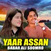 About Yaar Assan Song