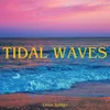 About TIDAL WAVES Song