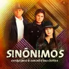 About Sinônimos Song