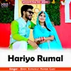 About Hariyo Rumal Song