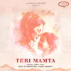 About Teri Mamta Song