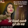 About Mere Dil Ko Rulake Muje Chhod Gaya Song