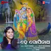 About He Gopinath Song