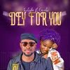 About Dey For You Song