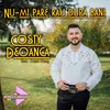 About Nu-mi pare rău după bani Song