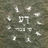 About דע Song