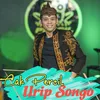 About URIP SONGO Song