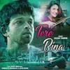 About Tere Bina Song