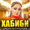 About Хабиби Song