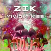 About Vivid Times Song