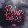 About Brisa e King Size Song