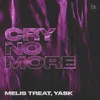 About Cry No More Song