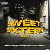 About Sweet Sixteen Song