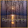 About Pensamentos Song