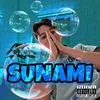 About SUNAMI Song