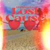 About Lost Cause Song