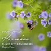 About Flight of the Bumblebee Song