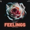 FEELINGS