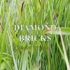 About DIAMOND BRICKS Song