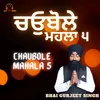 Chaubole Mahala 5