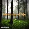 Meaning of life